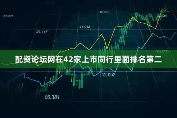 配资论坛网在42家上市同行里面排名第二