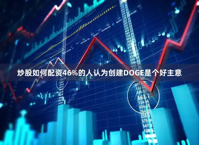 炒股如何配资46%的人认为创建DOGE是个好主意
